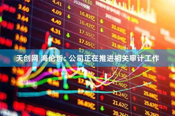天创网 海伦哲: 公司正在推进相关审计工作