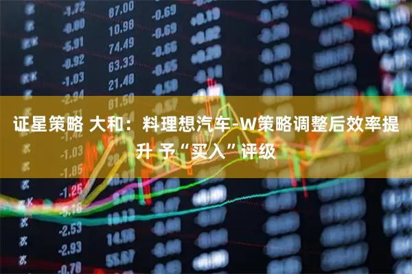 证星策略 大和：料理想汽车-W策略调整后效率提升 予“买入”评级