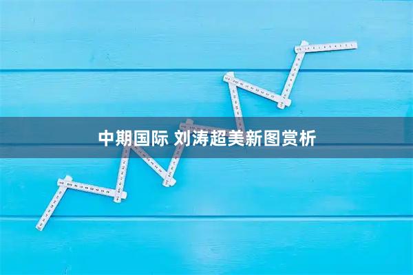 中期国际 刘涛超美新图赏析