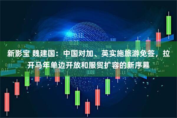 新影宝 魏建国：中国对加、英实施旅游免签，拉开马年单边开放和服贸扩容的新序幕