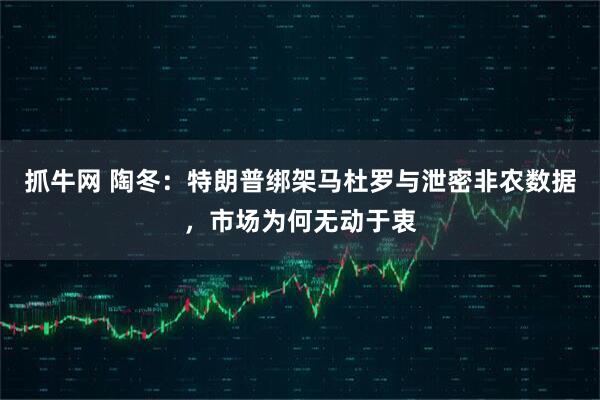 抓牛网 陶冬：特朗普绑架马杜罗与泄密非农数据，市场为何无动于衷