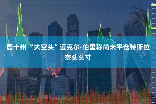 园十州 “大空头”迈克尔·伯里称尚未平仓特斯拉空头头寸